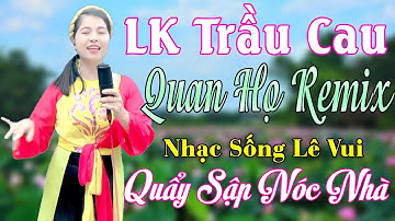 LK Trầu Cau Quan Họ Remix Lê Vui, Ai Nghe Cũng Mê. Nhảy Tưng Bừng Trên Điệu Nhạc Quan Họ