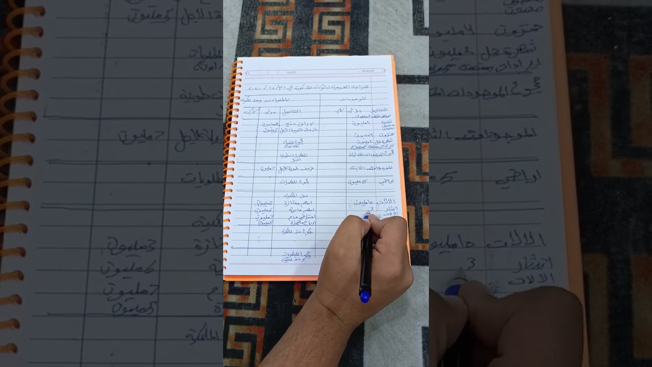 الإدارة المالية/الميزانية العمومية 