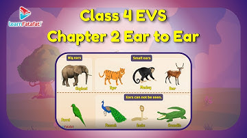 Class 4 EVS Chapter 2 Ear to Ear - LearnFatafat