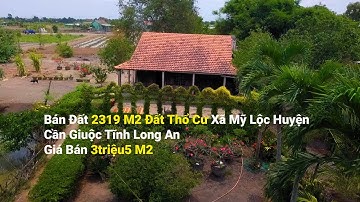Bán Đất Long An 2319 M2 Đất Thổ Cư Xã Mỹ Lộc Huyện Cần Giuộc