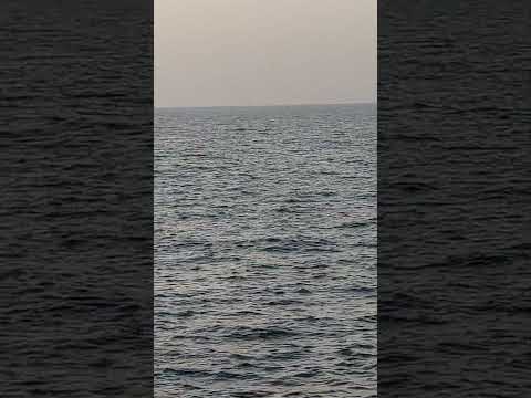 في دايرة الرحلة منير