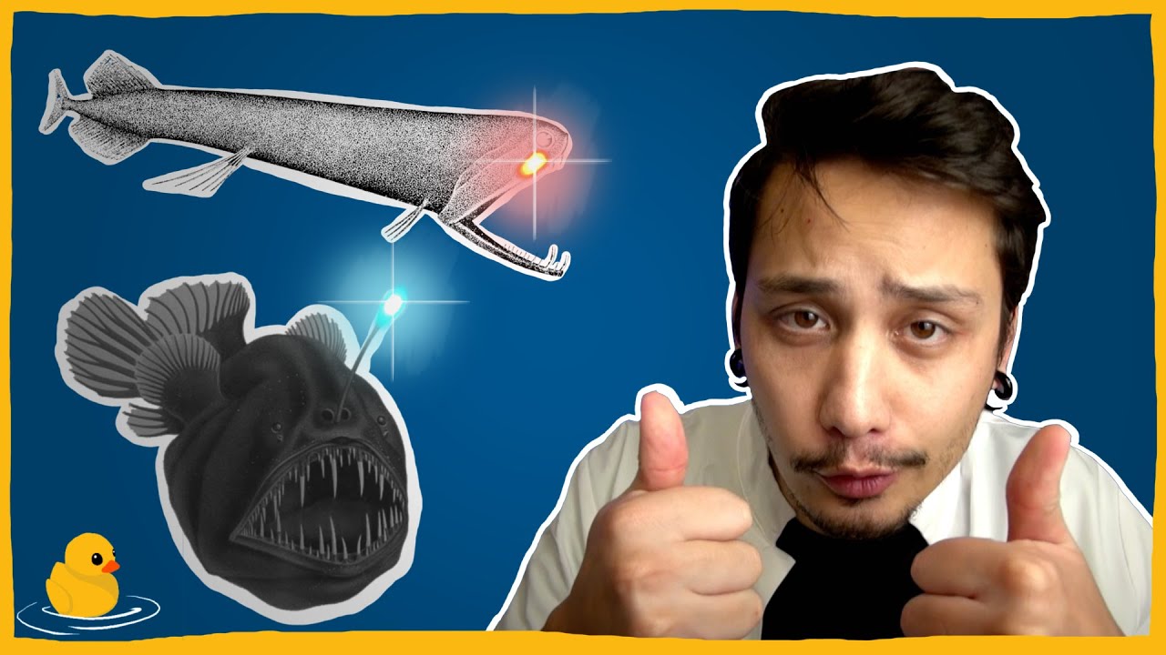 Why Are Deep Sea Fish Bioluminescent Quack 1 YouTube