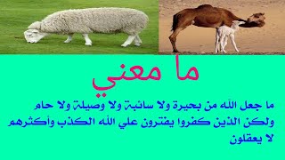 تفسير قوله تعالي (ماجعل الله من بحيرة ولا سائبة ولا وصيلة ولا حام )