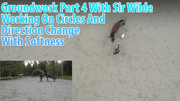 Groundwork Part 4 With Sir Wilde - Working On Circles And Direction Changes With Softness