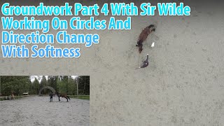 Groundwork Part 4 With Sir Wilde - Working On Circles And Direction Changes With Softness
