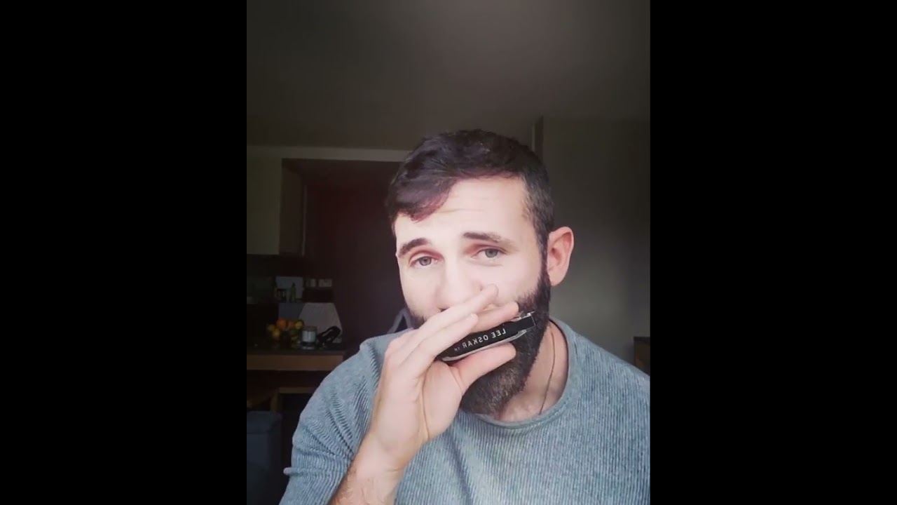 Harmonica Beatbox Challenge