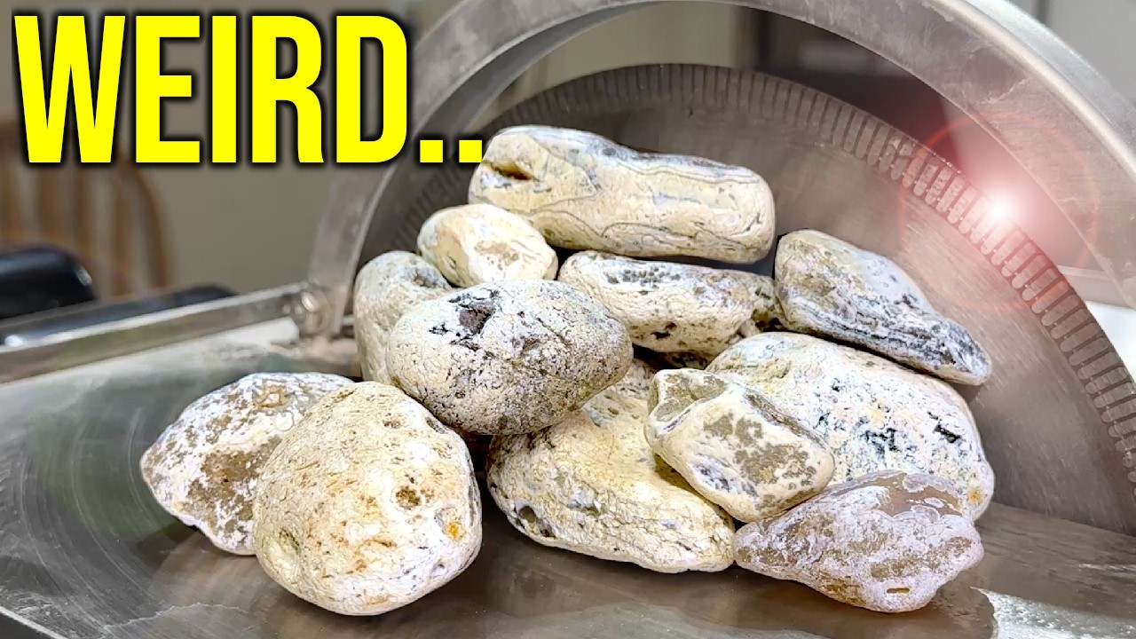 I Cut a Pile of STRANGE WHITE ROCKS.... The Results AMAZED ME!