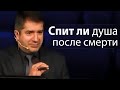 Спит ли душа после смерти - Александр Гырбу