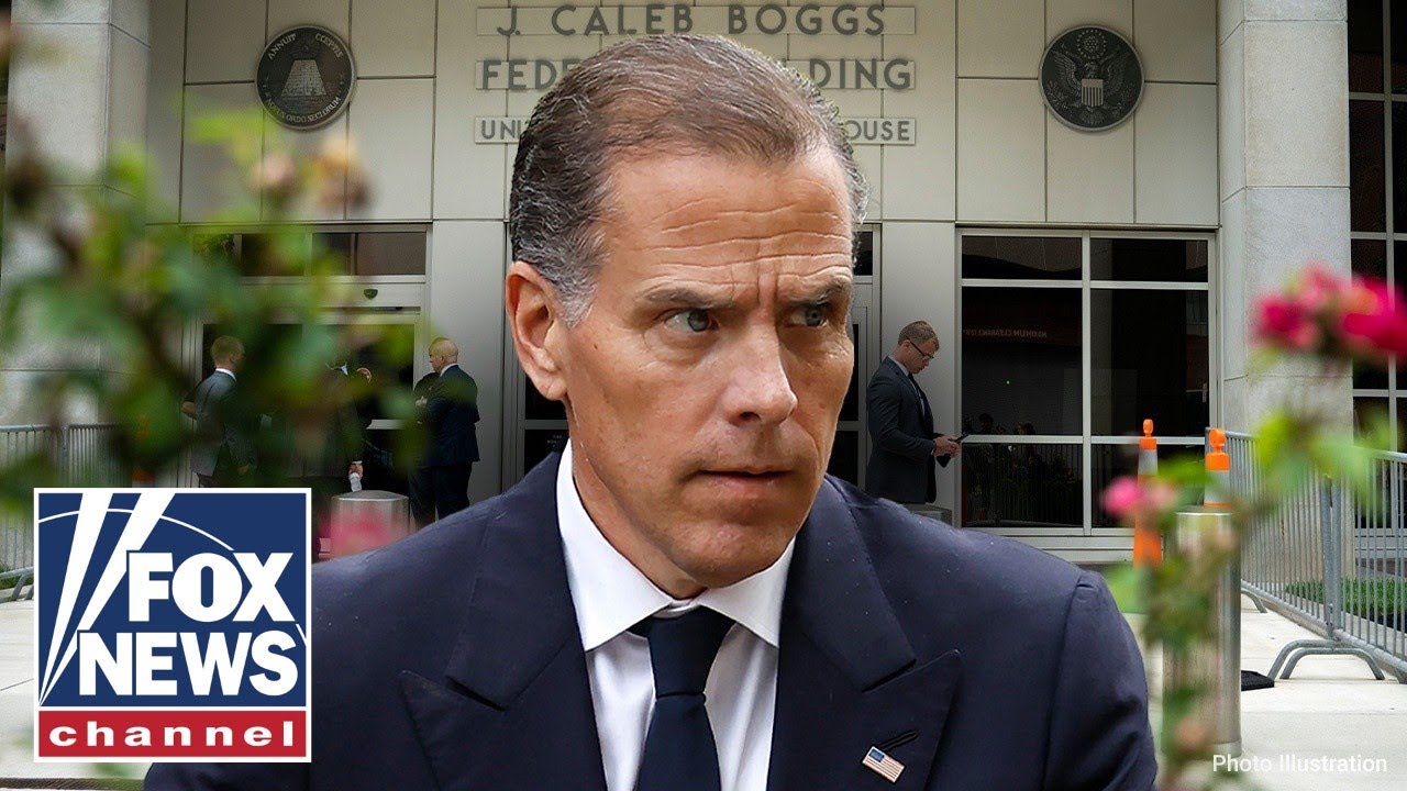 'POTTY-MOUTH PUNK': Former Trump senior counselor rips into Hunter Biden