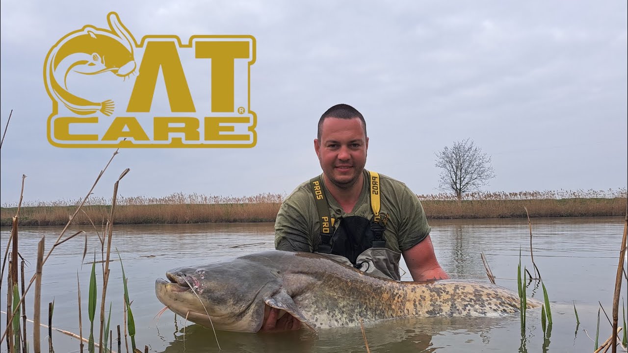 Ako úspešne loviť SUMCOV na trhačku s CatCare