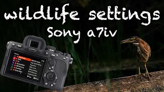 My Sony a7iv Camera Settings & Techniques