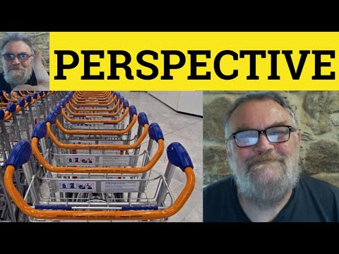 🔵 Perspective Meaning