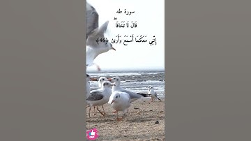 اذهبا إلى فرعون إنه طغى | سورة طه #دعاء_ورسالة