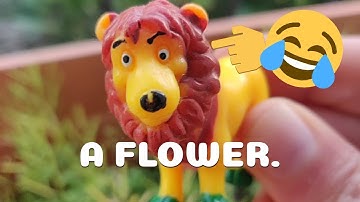 Funny Object Recognition Fails