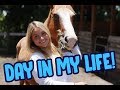 A Day in My Life | Attacked By a Cat, Feeding All My Pets, Life on The Farm!