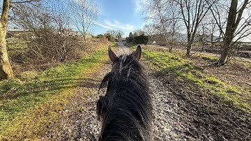 30 Minutes Of Horse Riding ASMR
