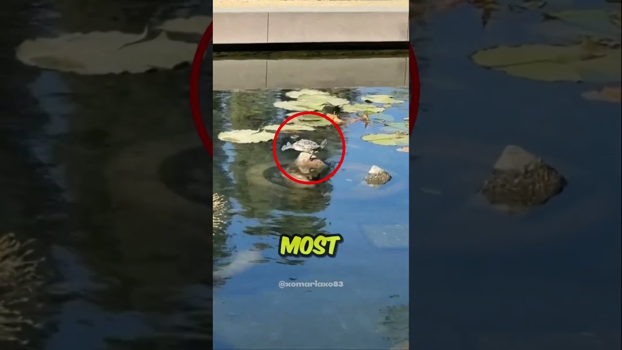 CHECK DESCRIPTION Wgitachi
