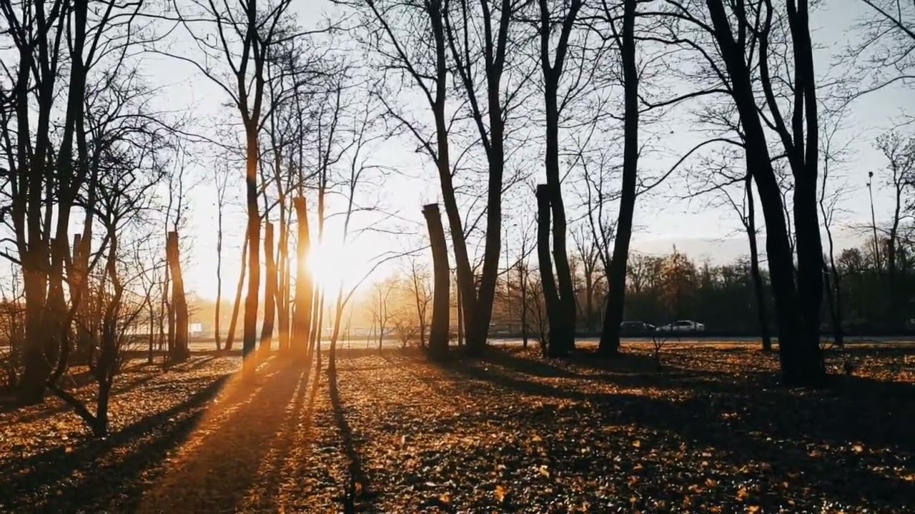 VID 20221114 175547 Люди, когда они любят...1911 (В. Хлебников)...Павел Васильев Лахтинский