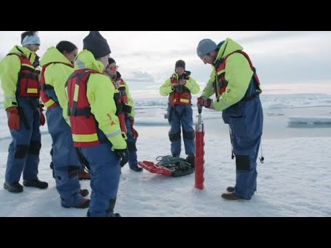 'Shock' as scientists