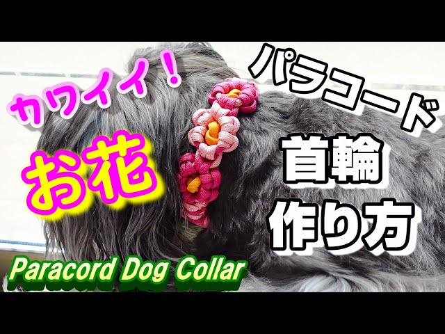 ペット用品] パラコードお花の首輪の作り方 [paracord][dog collar