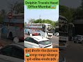 dolphin travel bus 🚌 3411 #shortfeeds #travel #driver #coach #viral #ytshorts #shorts #travelblog