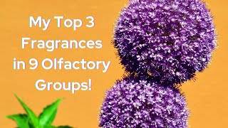 My Top 3 Fragrances in 9 Olfactory Groups: Floral, Chypre, Amber, Woody and more Perfume Collection