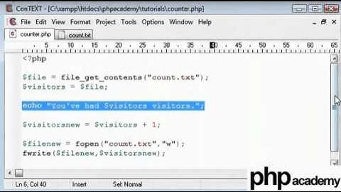 simple visitor counter