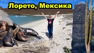 Лорето Мексика Нижняя Калифорния. Морские львы, дельфины, центр города и миссия Сан Хавьер.