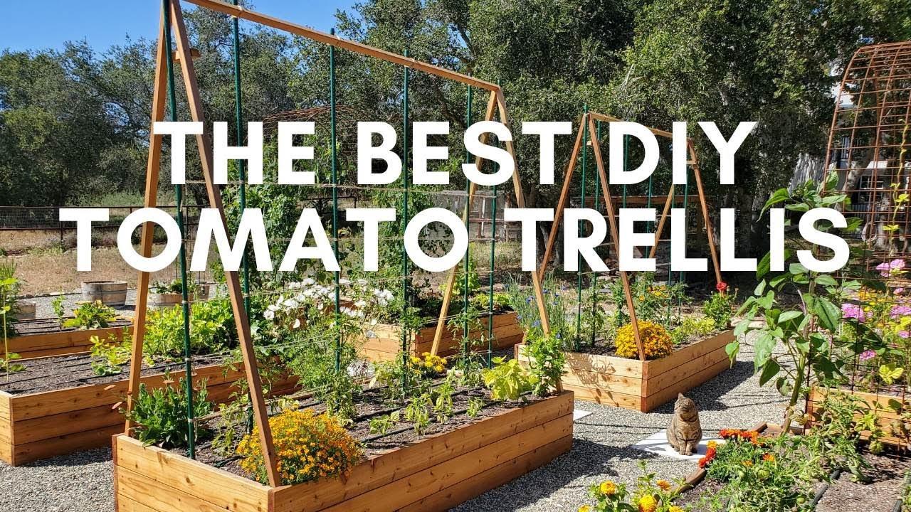 How to Make the Best DIY Tomato Trellis (Stake and Weave Hybrid System) 