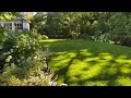 🌱 Open Lawn Garden Tour ~ Privacy Hedge ~ Y Garden 🌱