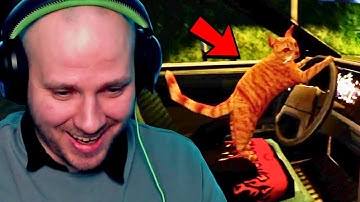 Hilarious Game Where a Cat is Your Driver - Nip For Speed