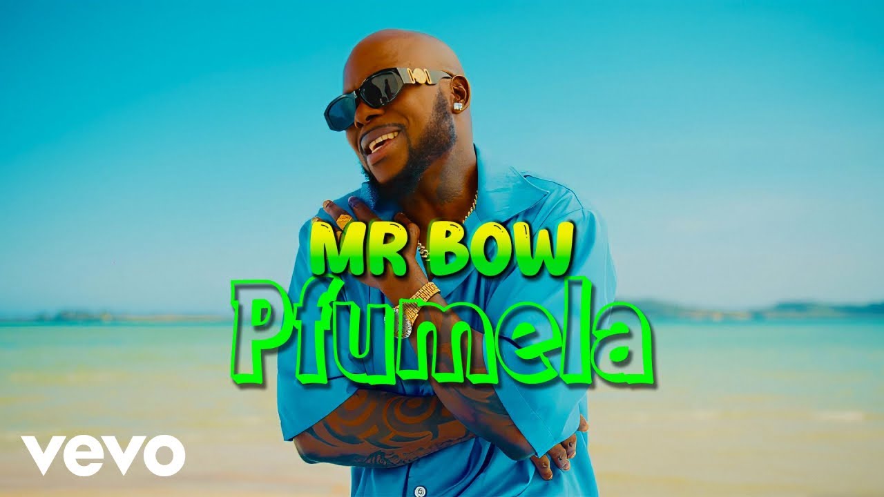 Mr Bow   Pfumela Official Music Video
