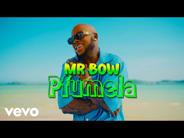 Mr. Bow - Pfumela (Official Music Video) class=
