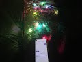 NeoPixel tree lights code update control via bluetooth #shortvideo #shorts