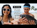 FISHING & COOKING on the BEACH | Koh Samui, THAILAND Island Living - Vlog#10