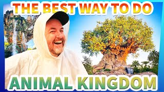 How To Be the BEST At Disney's Animal Kingdom