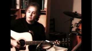Blackbird by THE BEATLES - with lyrics & chords - PAUL McCARTNEY guitar style - Cover by DC Cardwell