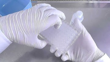 FluoroSpot - How to Use Fluorescence Enhancer