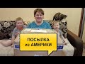 ПОСЫЛКА ИЗ АМЕРИКИ//ПОДАРКИ ОТ ПОДПИСЧИЦЫ НА НОВЫЙ ГОД//РАСПАКОВКА И ОБЗОР//ПОСЫЛКА ОТ ПОДПИСЧИКА