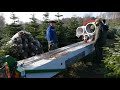 Weihnachtsbume netzen mit hydraulischer netzmaschine von kemper