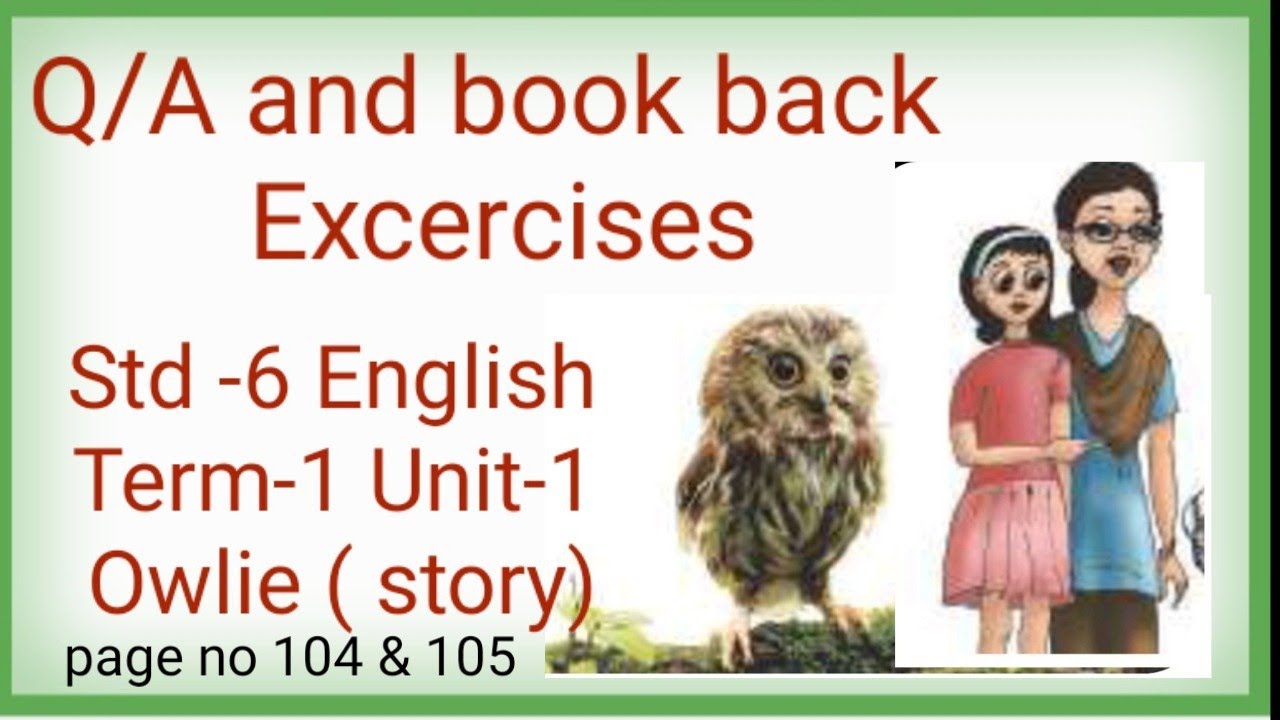 6th Std Owlie Qa And Book Back Excercises Pg No 104 And 105 Std 6 English Term 1 Unit 1 