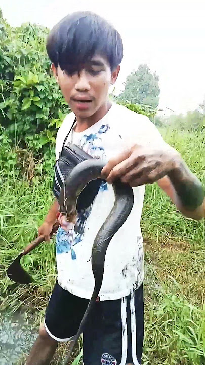 😱😱Mancing Belut Malah Dapet Ular. #vidioshorts #shortsviral #mancing #fhising #mancingmania #Belot