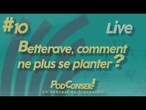 Podconseil #10 - Betterave, comment ne plus se planter ? (Enregistré en live)