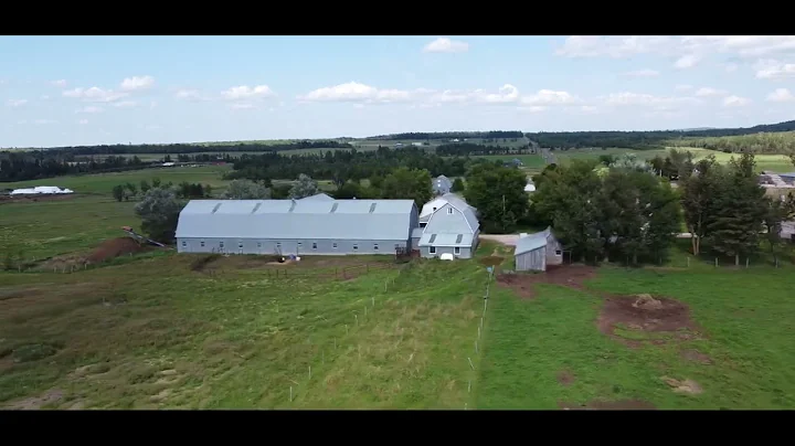 Hicks Settlement Road by Barbara MacKinnon Video A