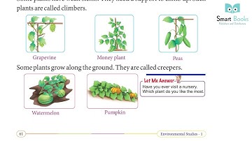 EVS Class 1 Chapter 15 Plants Around Us | Smart Book Publisher