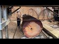 Fastest Chainsaw Cutting Tree Machine Skills Discover The Mystery Inside The King&#39;s Tree