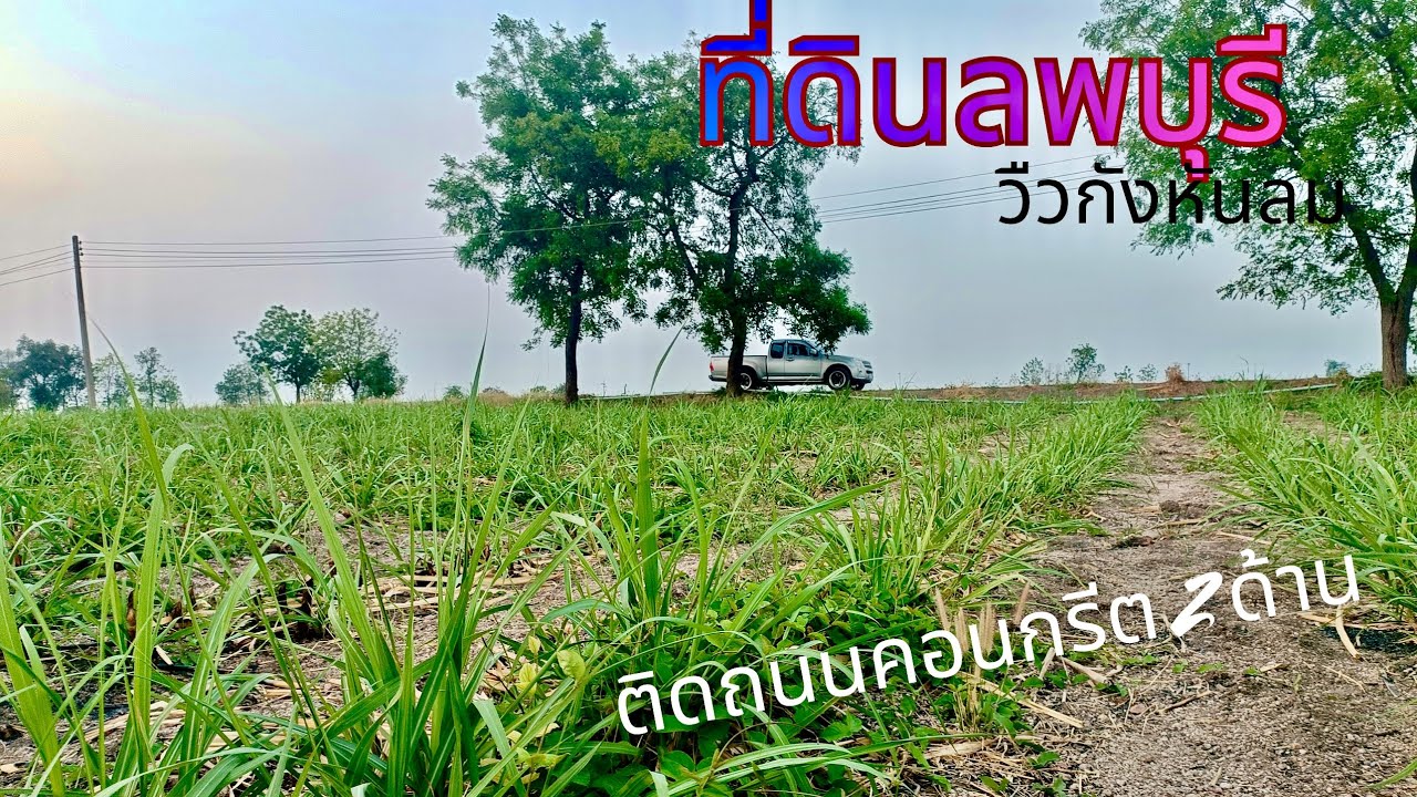 EP803.ที่ดินลพบุรี เหมาะทำบ้านสวน น้ำไฟครบติดถนนคอนกรีต 2 ด้าน อากาศดี สนใจโทร 0981473498_0887902134