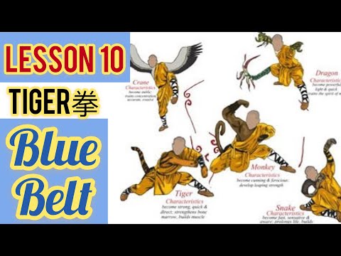 tiger kicks  / learning kung fu at home lesson 10 / snap , hell , stop kicks 虎拳