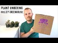 Houseplant Unboxing | Gulley Greenhouse