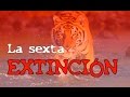 LA SEXTA EXTINCIÓN - Ciencias Para Todo